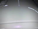 Tamco Paint 1989 Nissan SX Blizzard of Ozz Purple Pearl