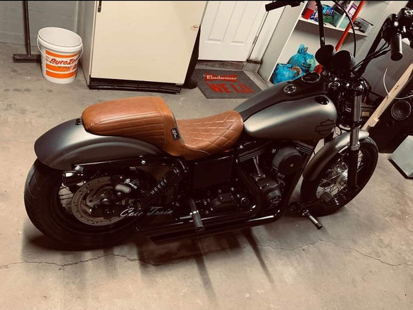 Tamco Paint Secret Silver in Harley Davidson FXDB