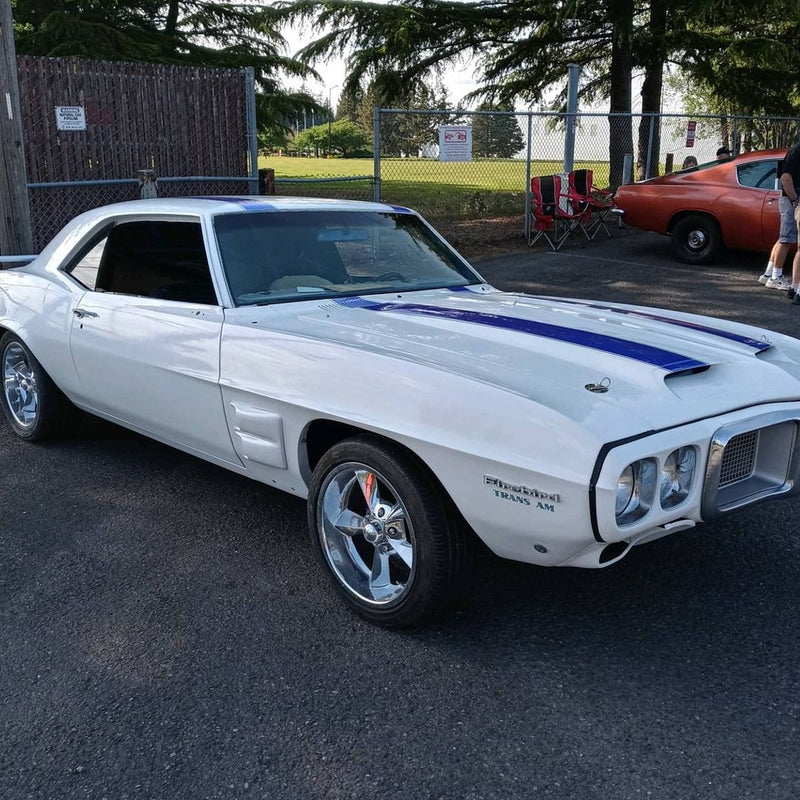 Tamco Paint HB9901 Bright White and SoCal Blue in 1969 Pontiac Firebird
