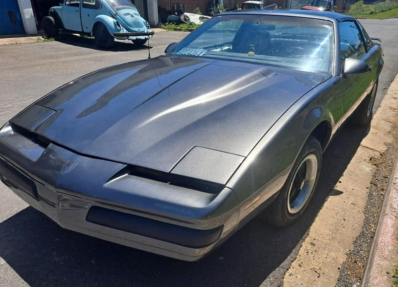 Tamco Paint Smoke Metallic in 1992 Pontiac Firebird