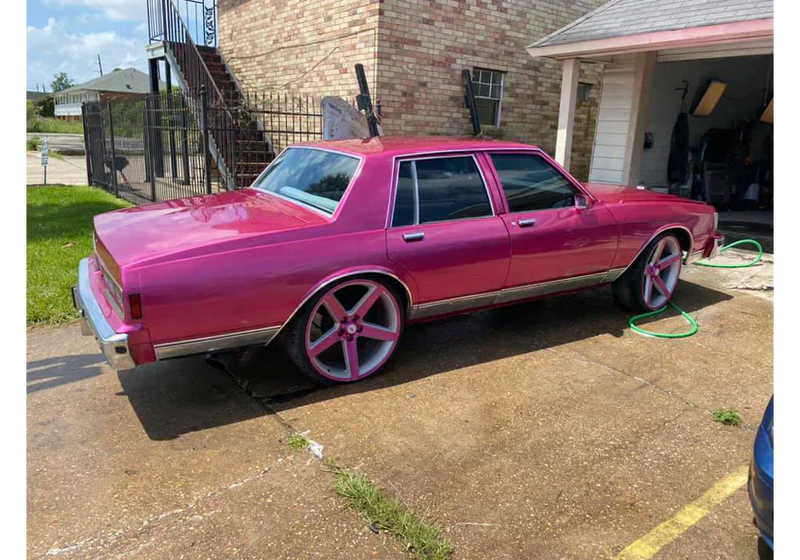 Tamco Paint You Cant Sit With Us HC2100