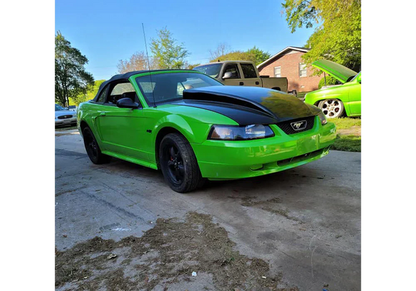 Tamco Paint Toxic Waste in 2017 Ford Mustang Convertible