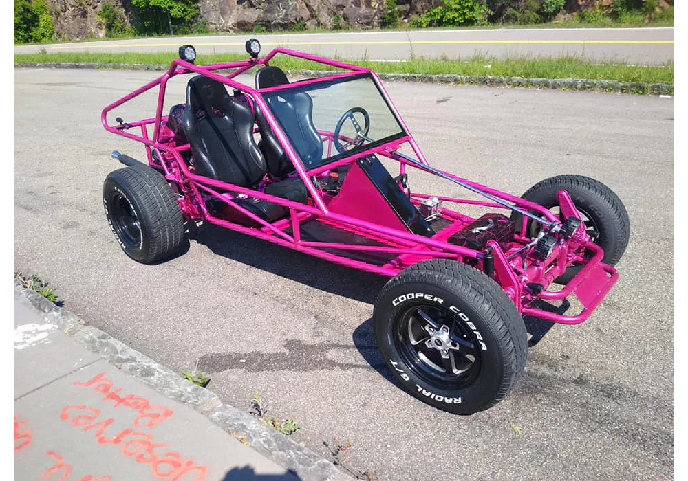 Tamco Paint Piss Off Pink in Sand Rail