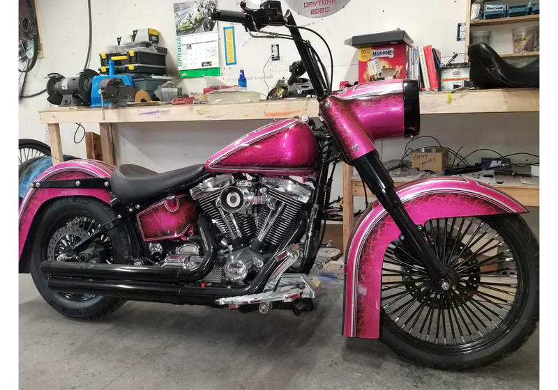 Tamco Paint You Cant Sit With Us in Harley Davidson Softail