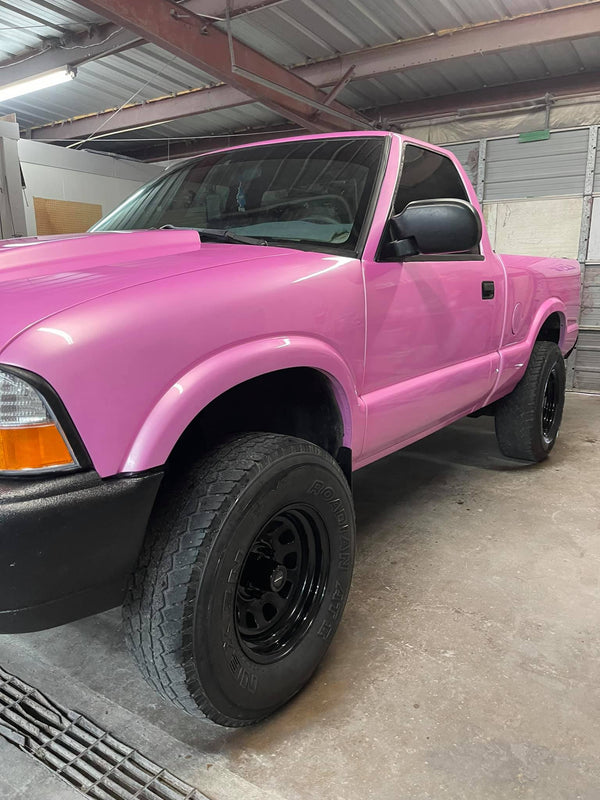 Tamco Paint Pretty in Pink in 2004 Chevrolet S-10
