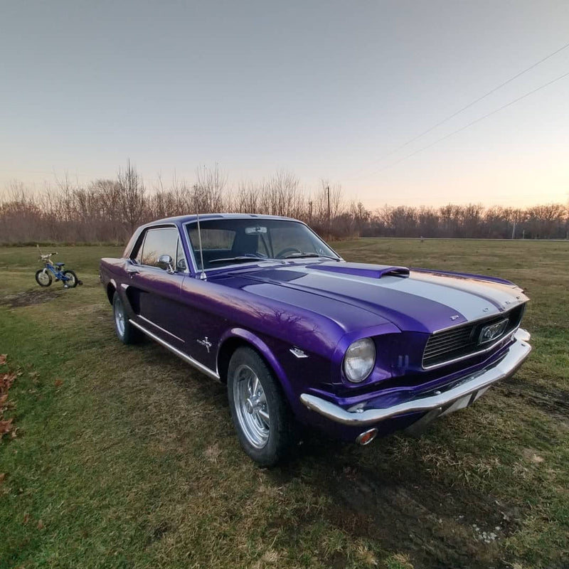 Tamco Paint Purple Pop Pearl in 1966 Ford Mustang