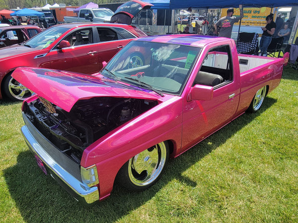 Tamco Paint Piss Of Pink HC2104