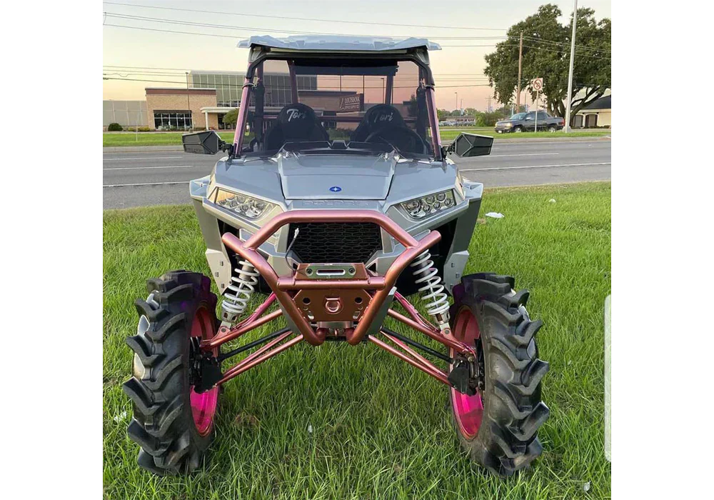 Tamco Paint Slick Silver Metallic in 2016 Polaris RZR