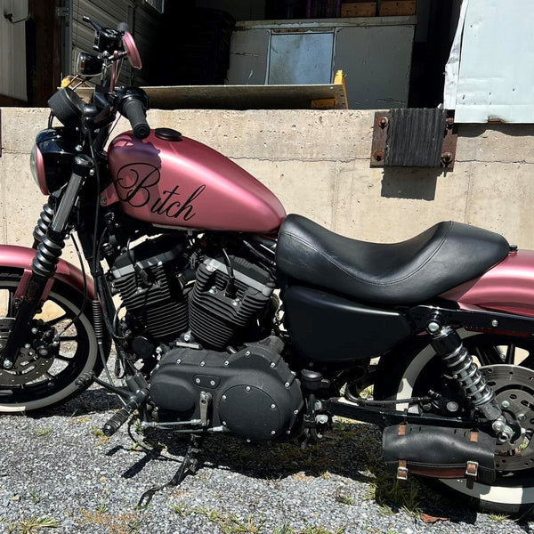 ROSE GOLD | NICOLE HOLCOMB | 2002 HARLEY DAVIDSON SPORTSTER