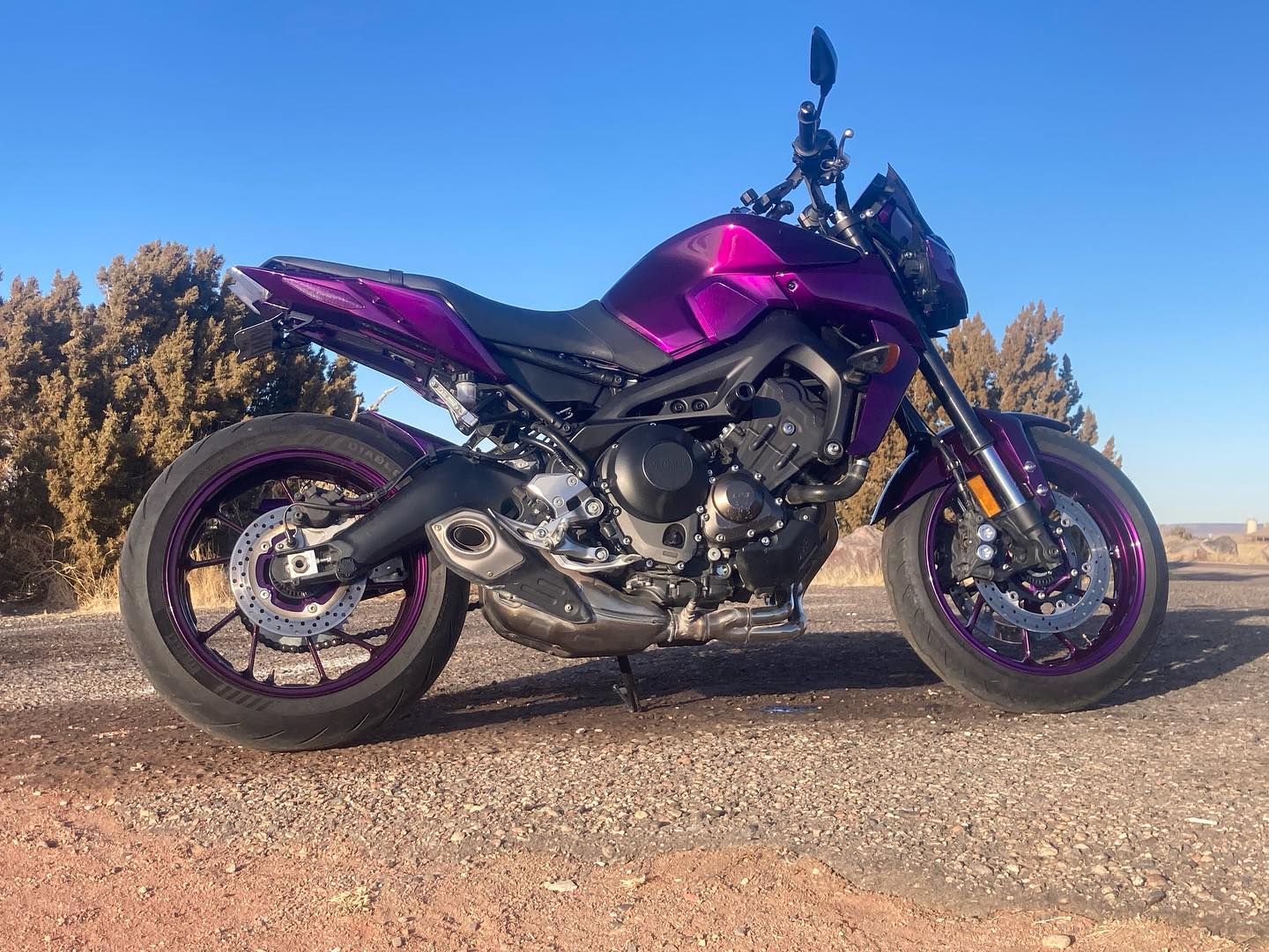 Tamco Paint HooDoo-VooDoo - Candy Concentrate in 2017 Yamaha FZ09