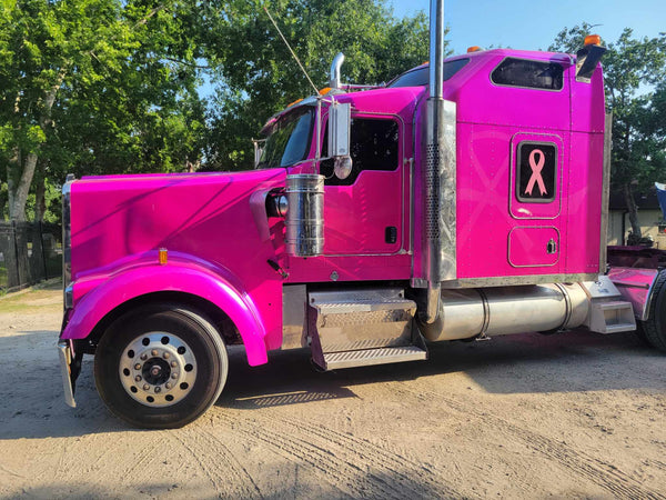 Tamco Paint Lipstick in Kenworth W900