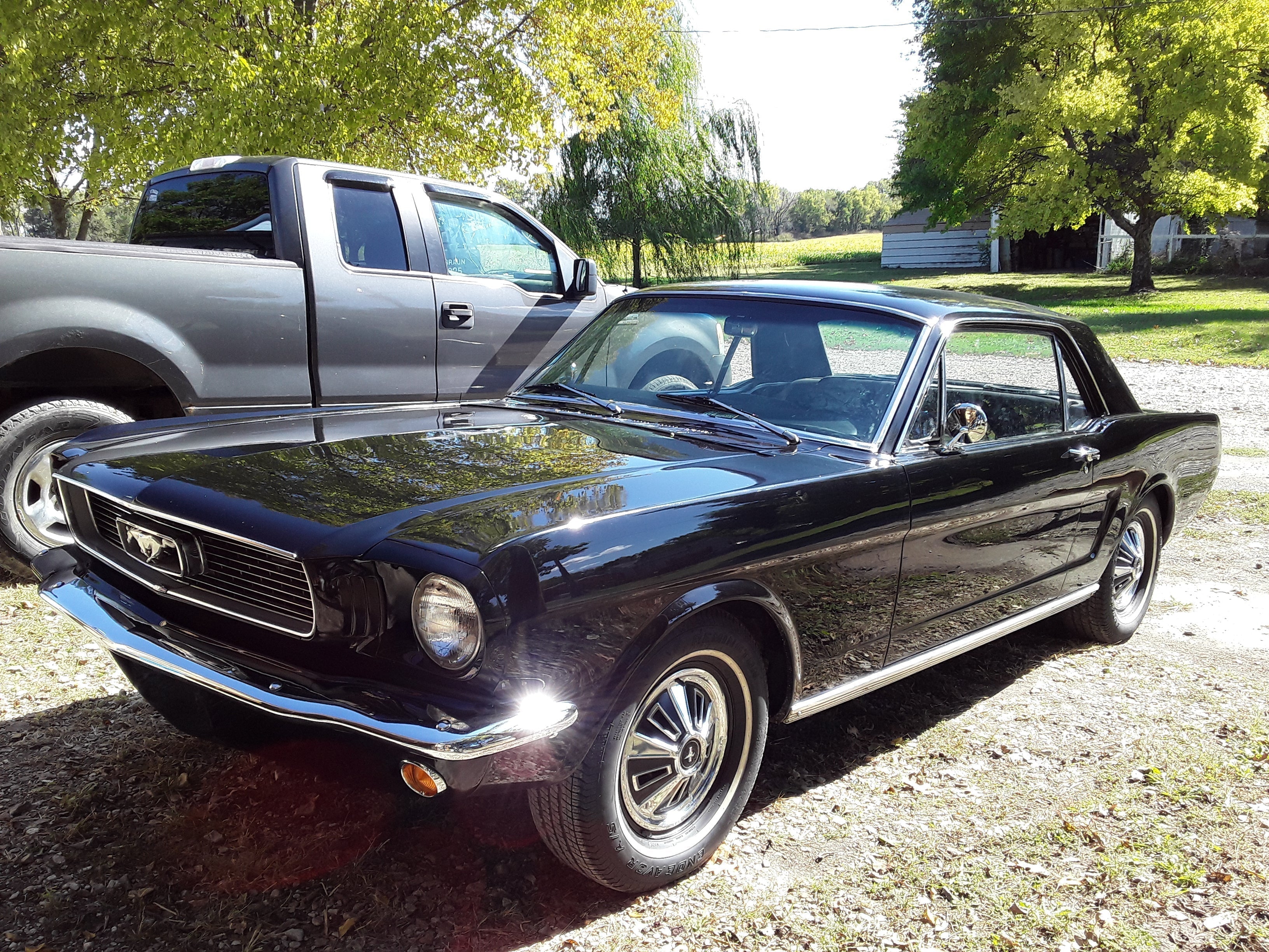 Tamco Paint HB9900 Jet Black in 1966 Ford Mustang