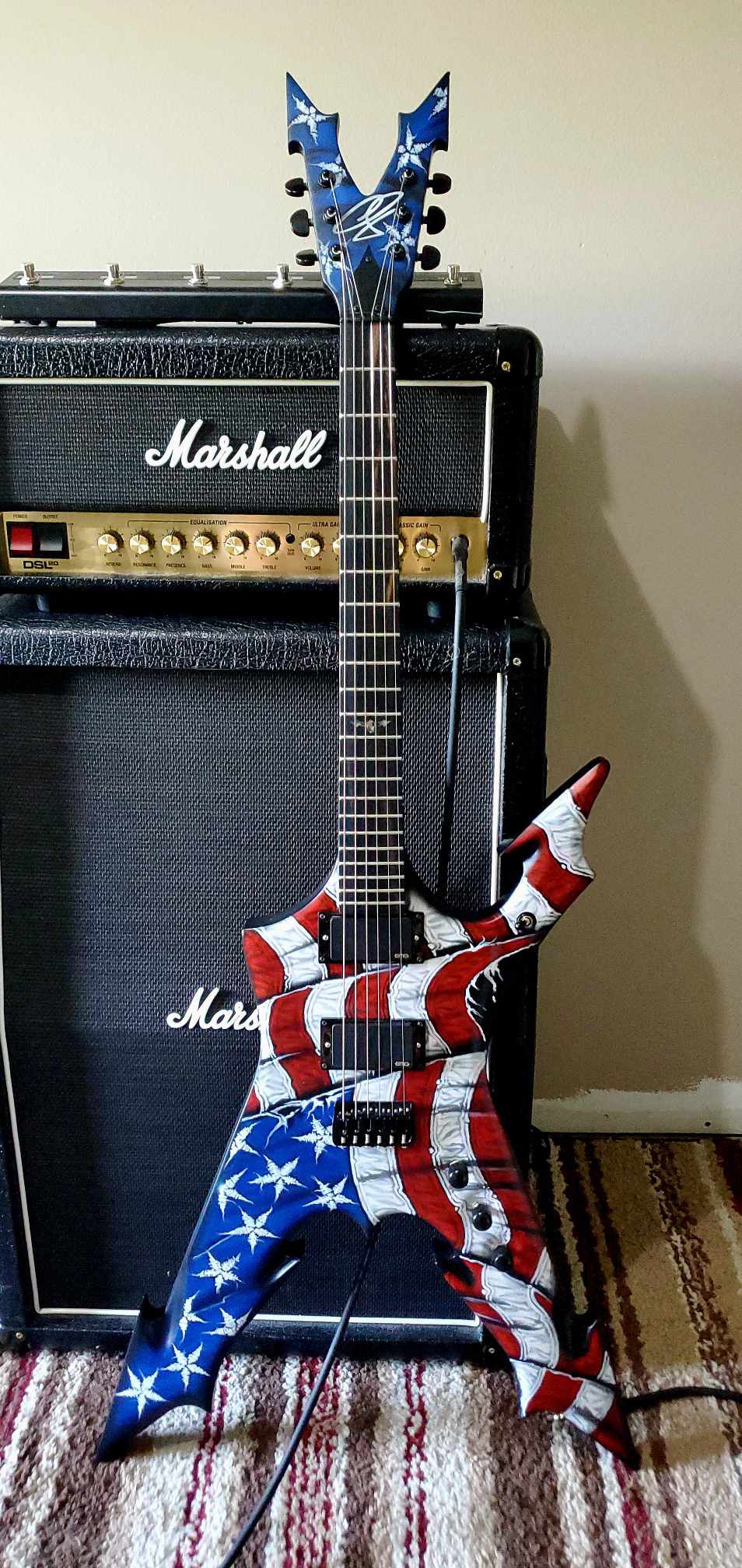 Tamco Paint Tamco Intensity in Guitar