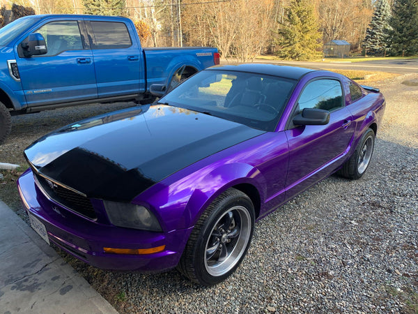 Tamco Paint Purple Pop Pearl in 2006 Ford Mustang GT