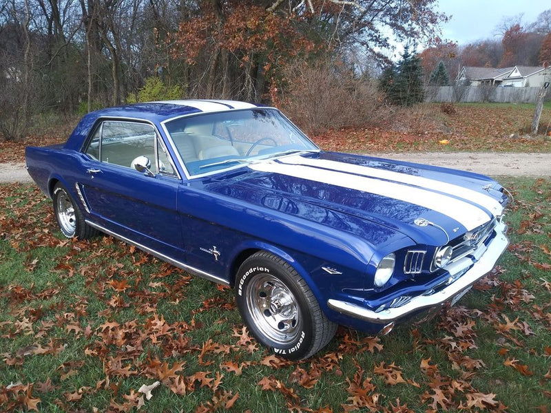 Tamco Paint HC2104 High Solids Clearcoat on 1966 Ford Mustang