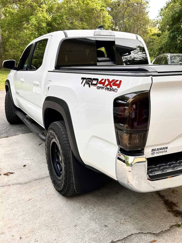 Tamco Paint Intensity Black Out Black in Taillights