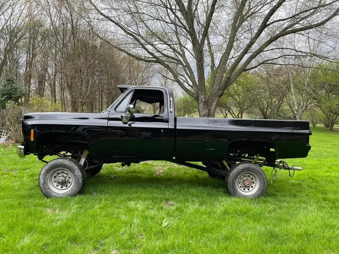 Tamco Paint Basecoat Factory Packs (HB9900 Jet Black) on 1976 Chevrolet K20