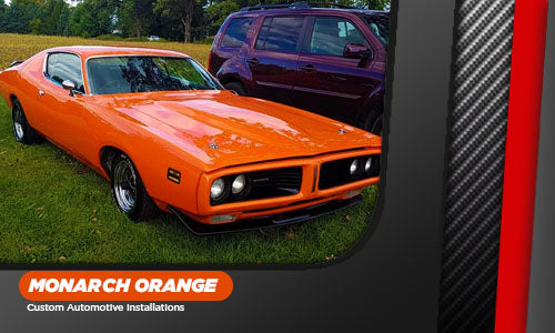 MONARCH ORANGE PROJECT PHOTOS