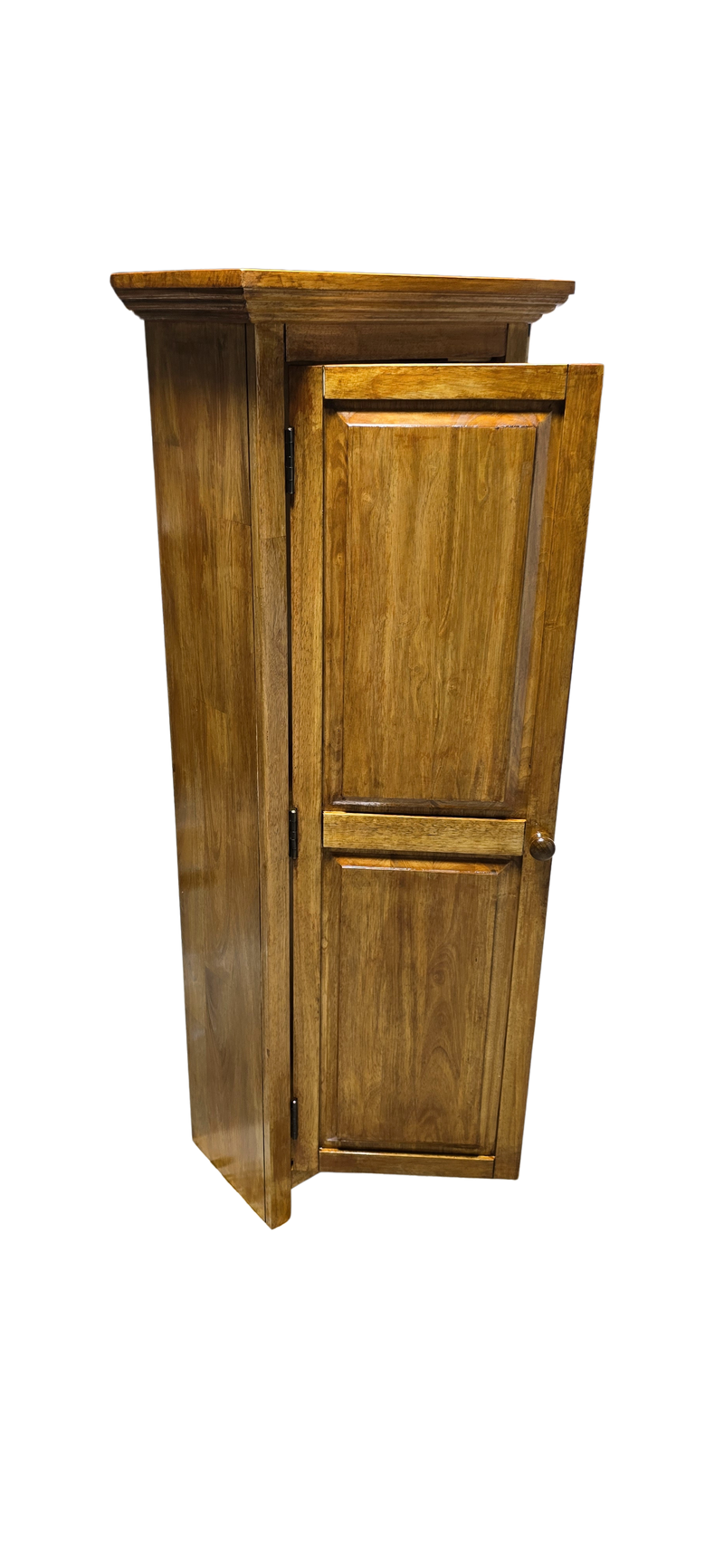 Tamco Paint Rusted Gold Wood Stain on 1 Door Storage Cabinet