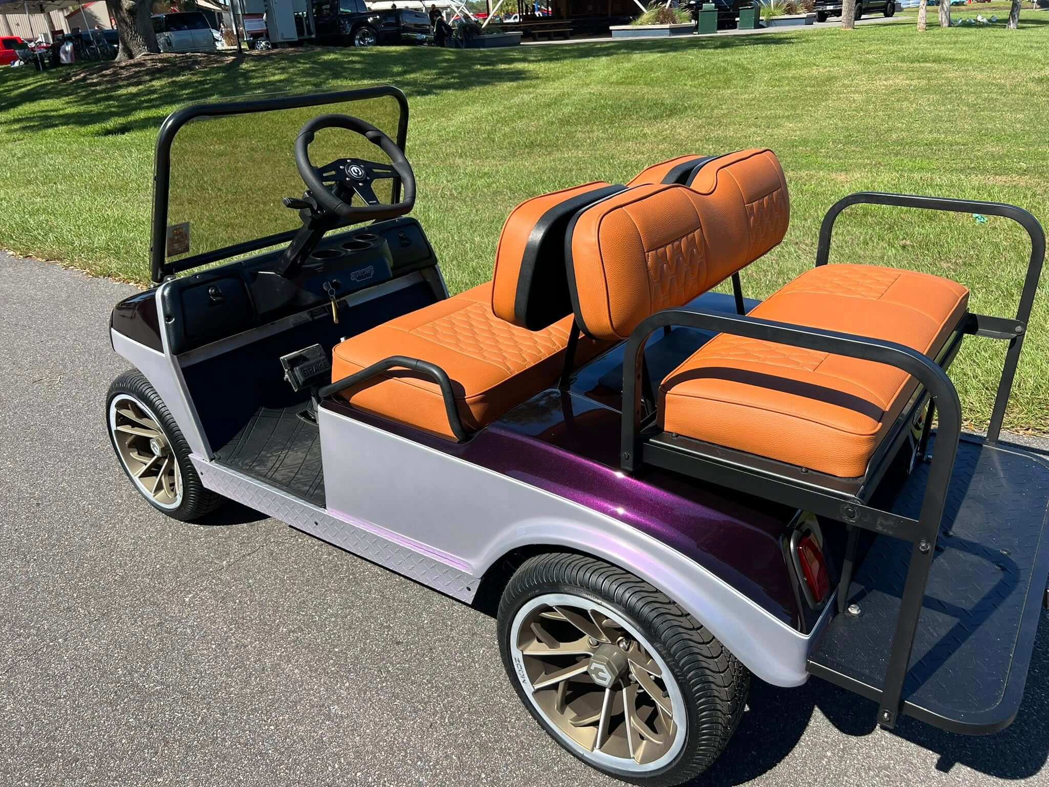  Tamco Paint Stellar Violet & Purple Passion in Golf Cart