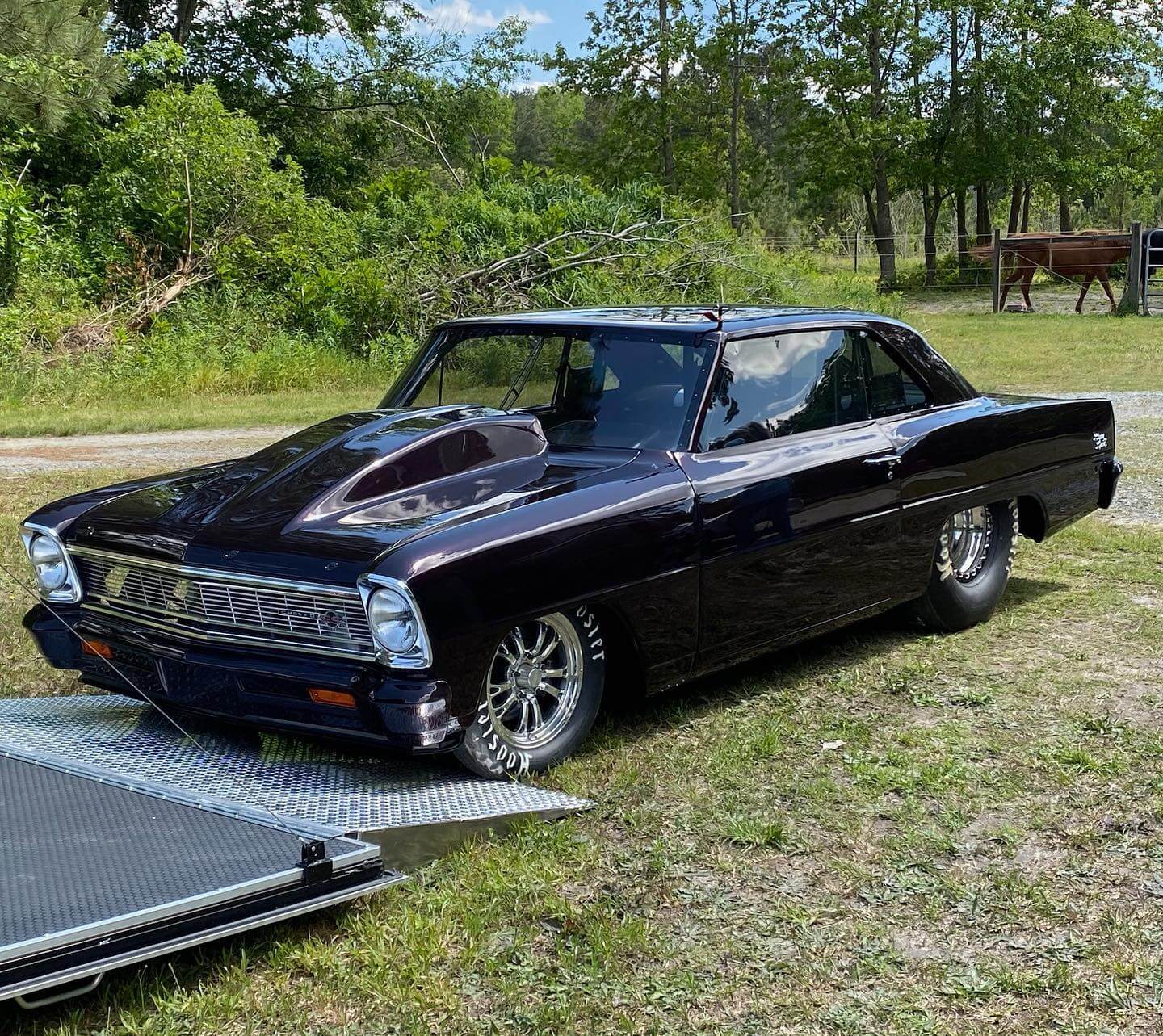 Tamco Paint Tamco Throwback Black Cherry on 1966 Chevrolet Nova