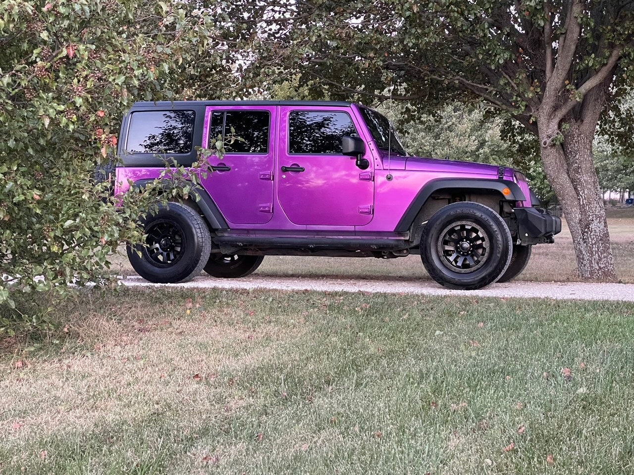 Tamco Paint Violent Violette in 2018 Jeep Wrangler