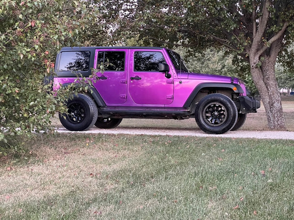 Tamco Paint Violent Violette HC1100