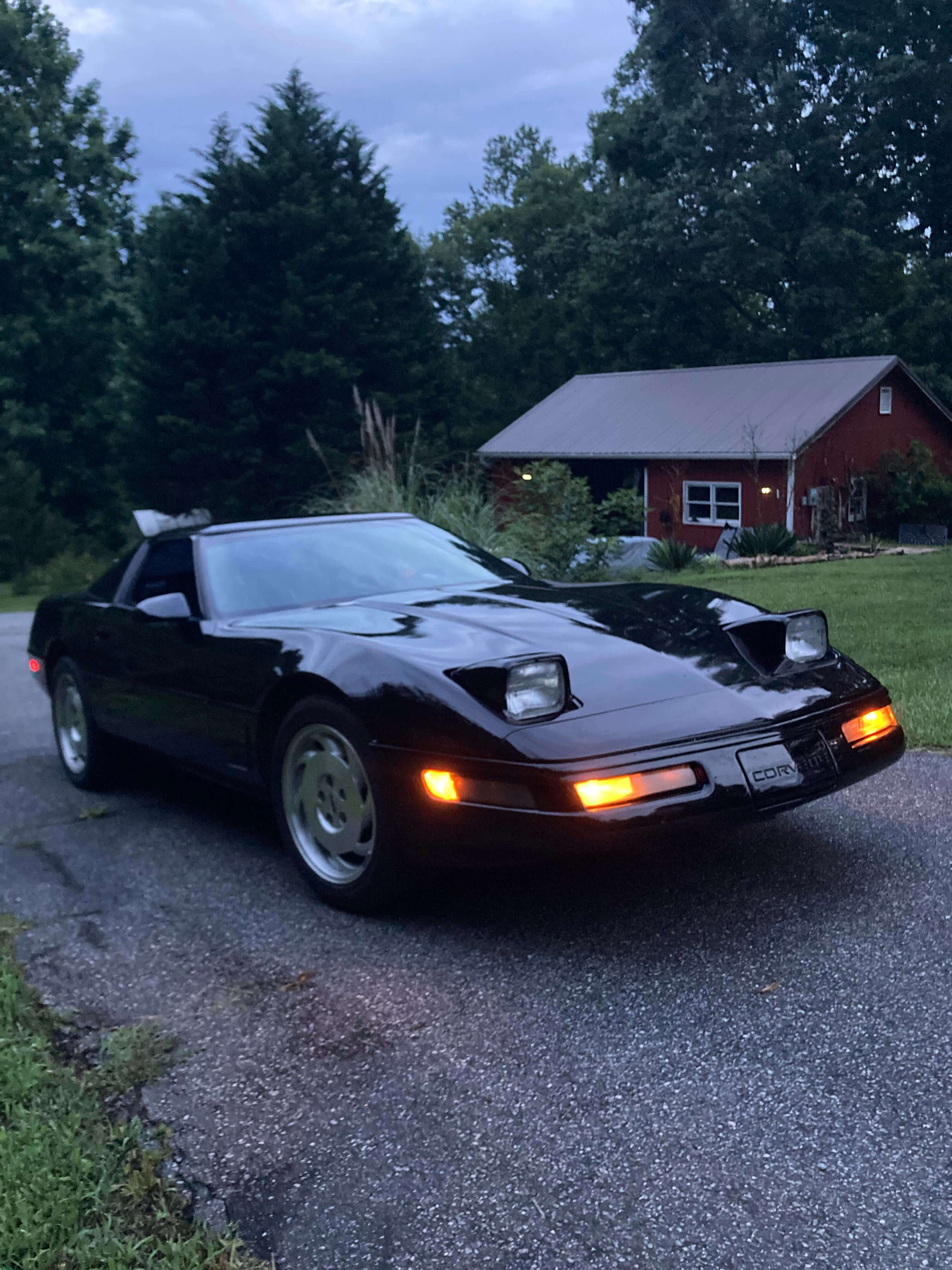 Tamco Paint HB9900 Jet Black Basecoat in 1995 Chevrolet Corvette