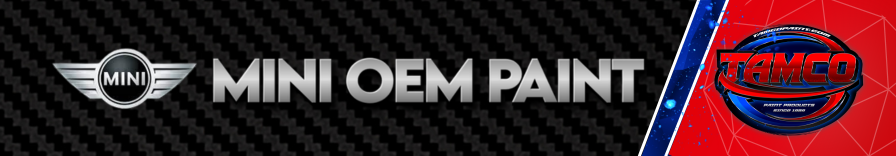 Mini OEM Paint