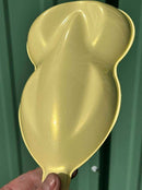 Tamco Paint  Boston Cream Pearl speed shape