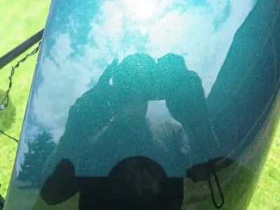 Godzilla Green | Tamco Paint Products