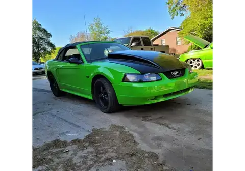 Tamco Paint  Toxic Waste 2000 Ford Mustang