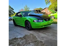 Tamco Paint  Toxic Waste 2000 Ford Mustang