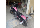 Tamco Paint  Pretty In Pink Harley Davidson Sportser