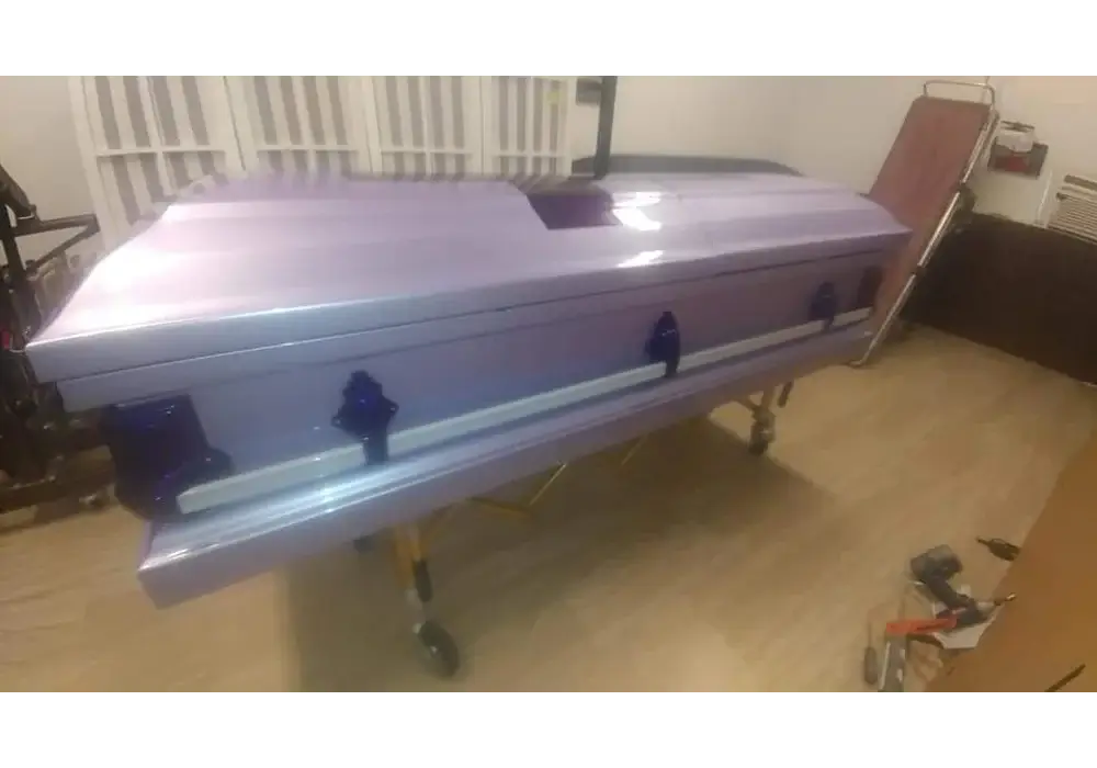 Tamco Paint Liquid Lavender Pearl coffin
