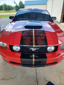 Tamco Paint Ford Mustang OG Red