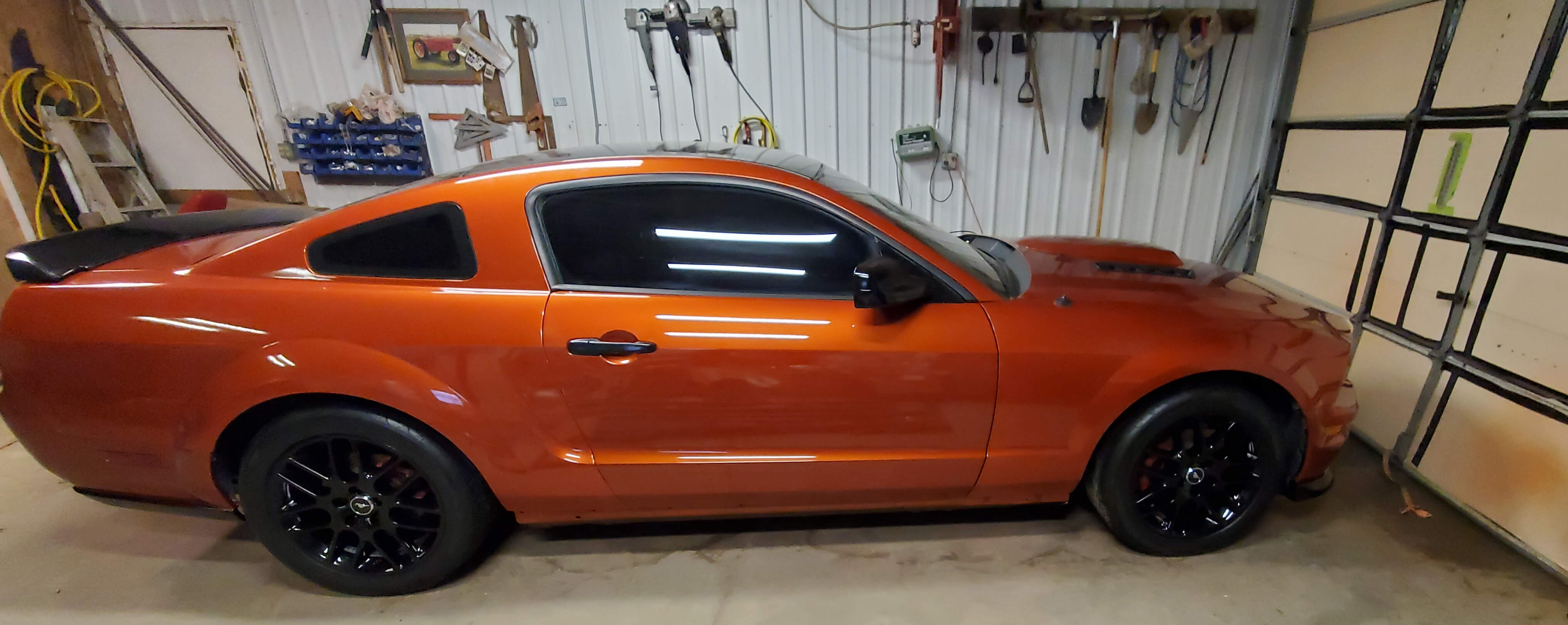  Tamco Paint   2008 Ford Mustang Tiger Orange