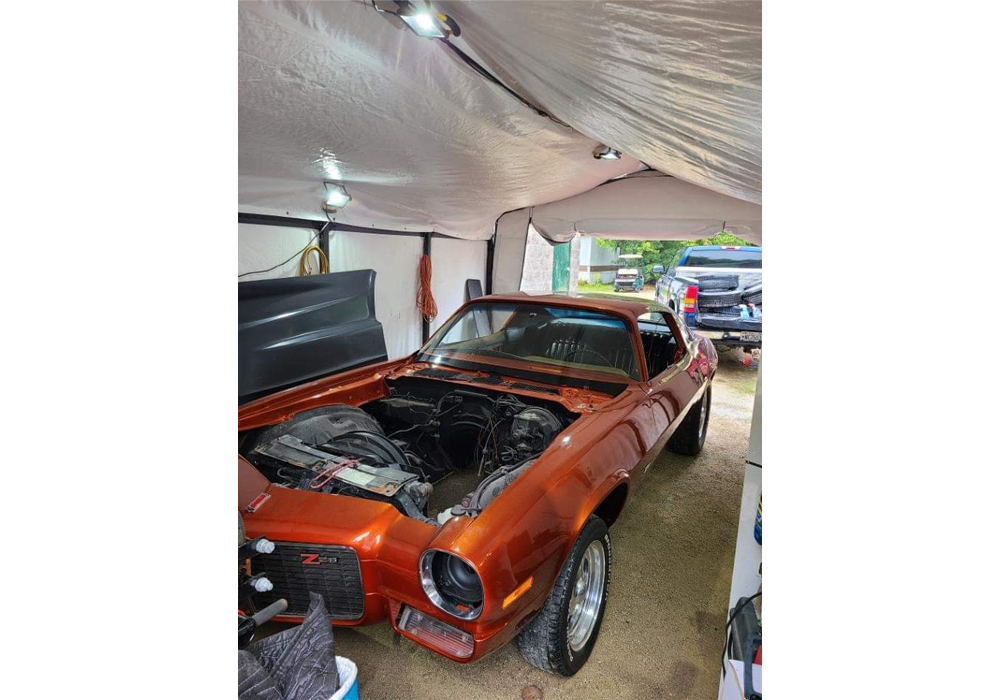 Tiger Orange