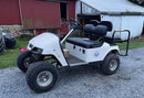 Tamco Paint  EZGO TXT Smoke Metallic