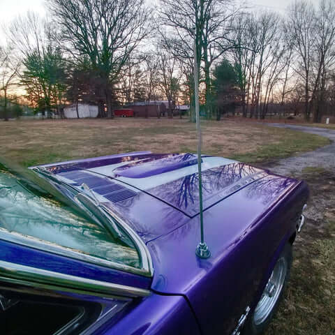 Purple Pop Pearl 1966 Ford Mustang