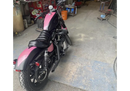 Tamco Paint  Pretty In Pink Harley Davidson Sportser