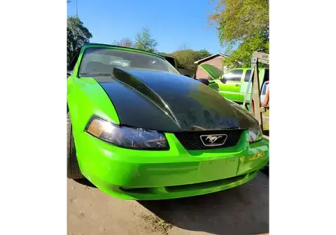Tamco Paint  Toxic Waste 2000 Ford Mustang