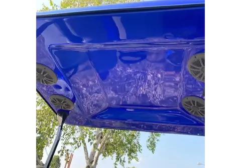 Blue Nitrous Golf Cart roof