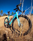 Tamco Paint Bicycle Rockin Robin 