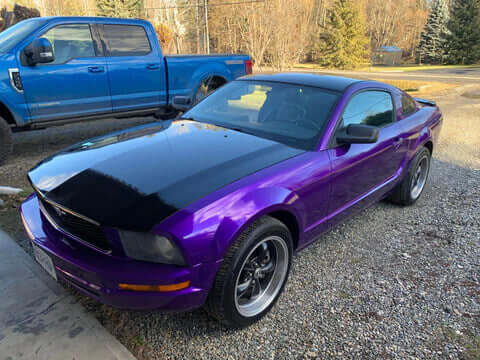 Purple Pop Pearl Ford Mustang