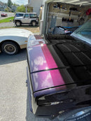 purple passion pearl car part