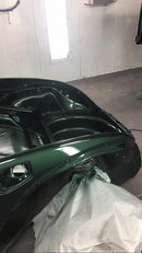 Grass Green OEM Basecoat Volkswagen Beetle