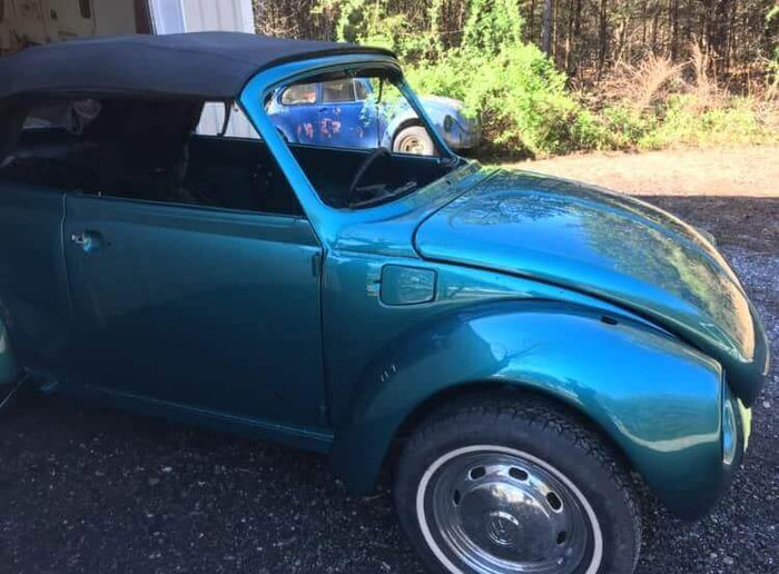 青緑キャベッジ　スリーブつき 青緑キャベッジ スリーブつき 青緑キャベッジデッキ スリーブ付 2025年