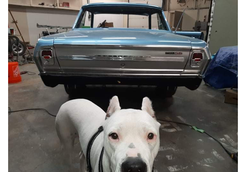 GM Nantucket Blue Poly | D / 3560 | 1967 | OEM Basecoat