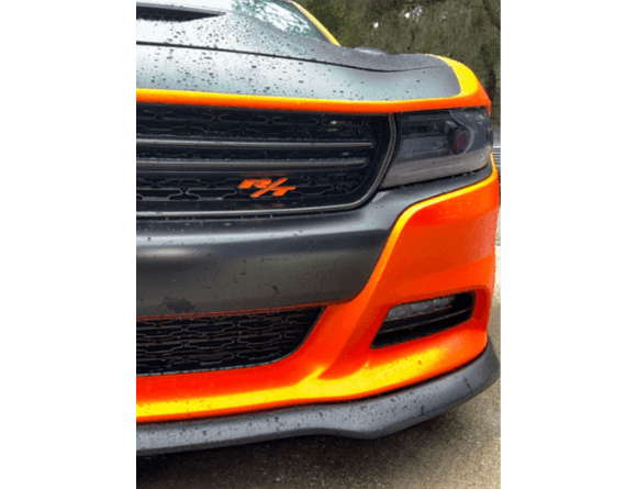 Tamco Paint Tiger Lily in 2018 Dodge Charger RT